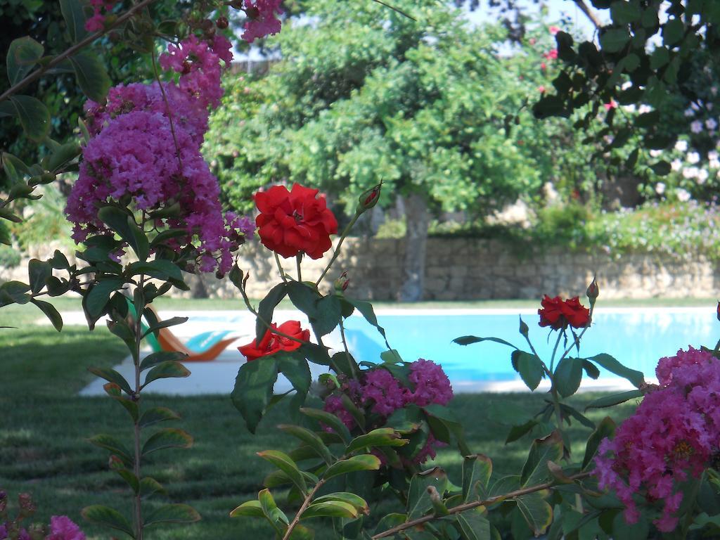 Il Giardino Dei Carrubi Βίλα Donnalucata  Δωμάτιο φωτογραφία