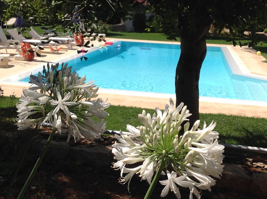 Il Giardino Dei Carrubi Βίλα Donnalucata  Εξωτερικό φωτογραφία